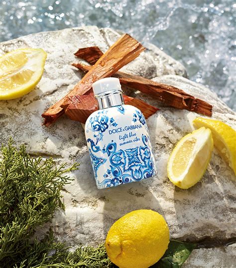 dolce gabbana 2019 summer|dolce gabbana light blue fragrantica.